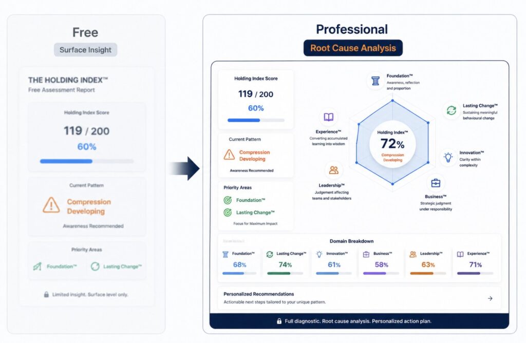 Free vs professional holding index assessment comparison